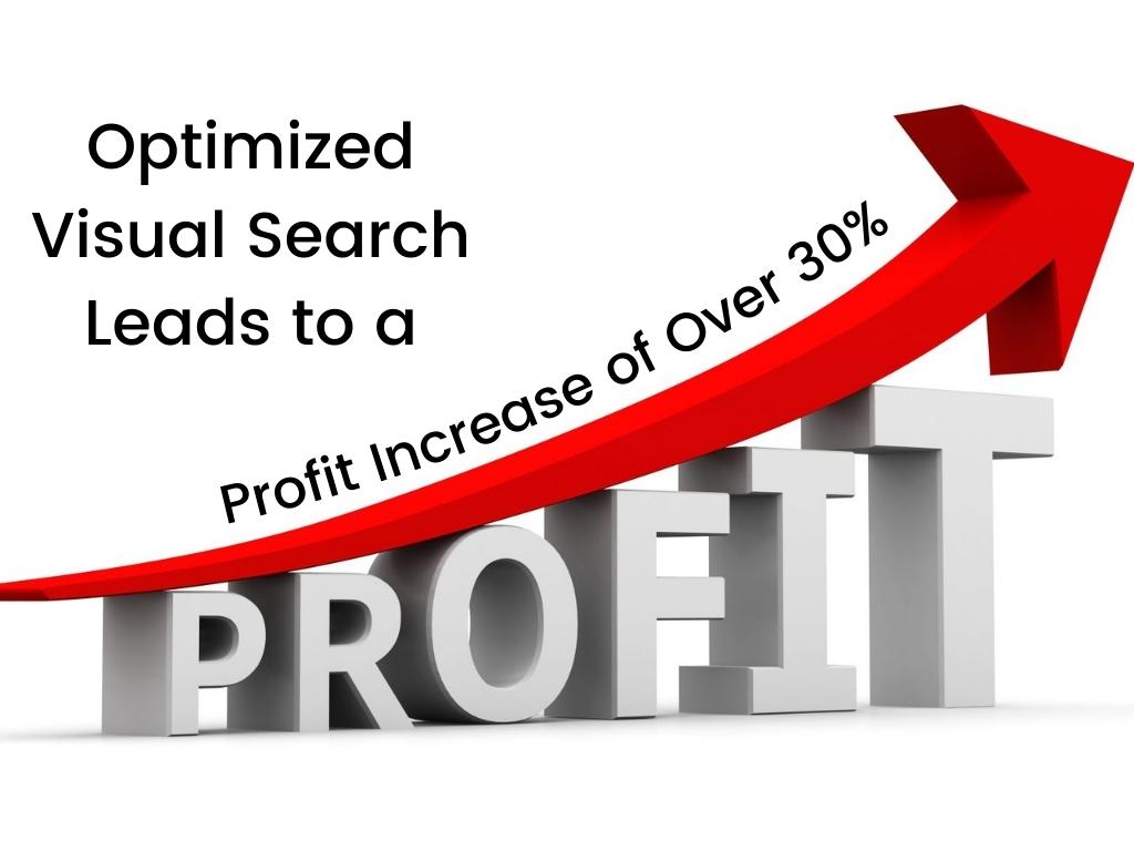 Optimized-Visual-Search-Leads-to-a-Profit-Increase-of-Over-30%